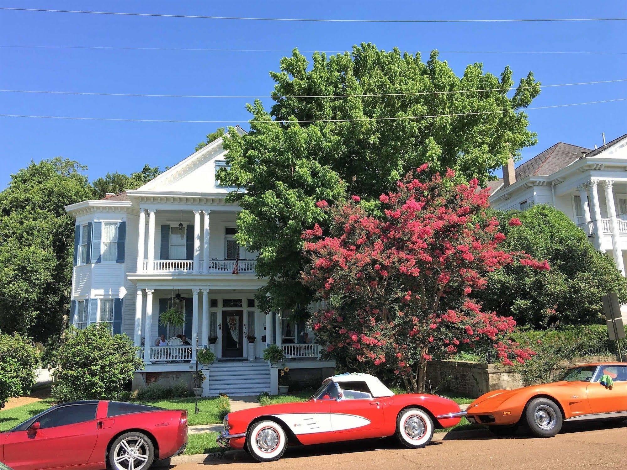 Bisland House Bed And Breakfast นัตเชซ ภายนอก รูปภาพ